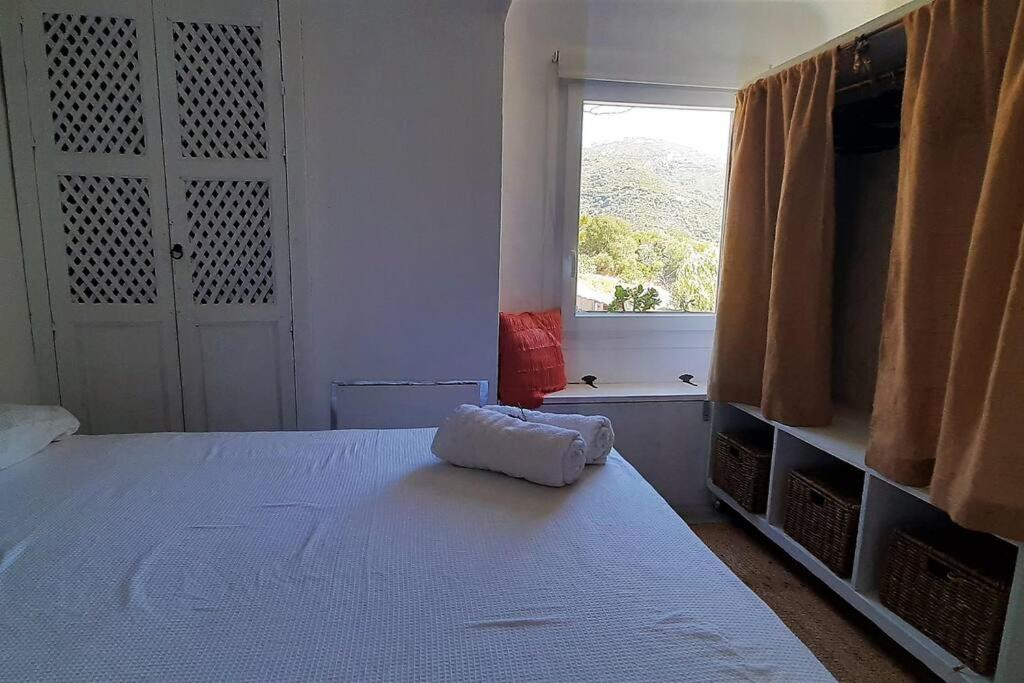 Apartament El Cuarton Tarifa "Sonreir Antes De Entrar" Zewnętrze zdjęcie